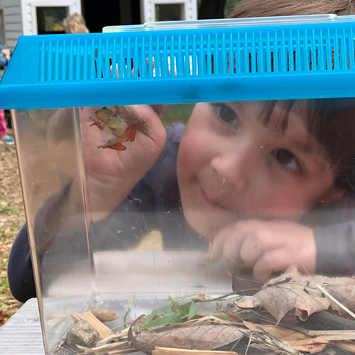 Summer Camp Gage Farm Schoolhouse Preschool and Kindergarten